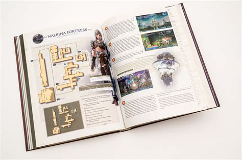 final fantasy 12 strategy guide.